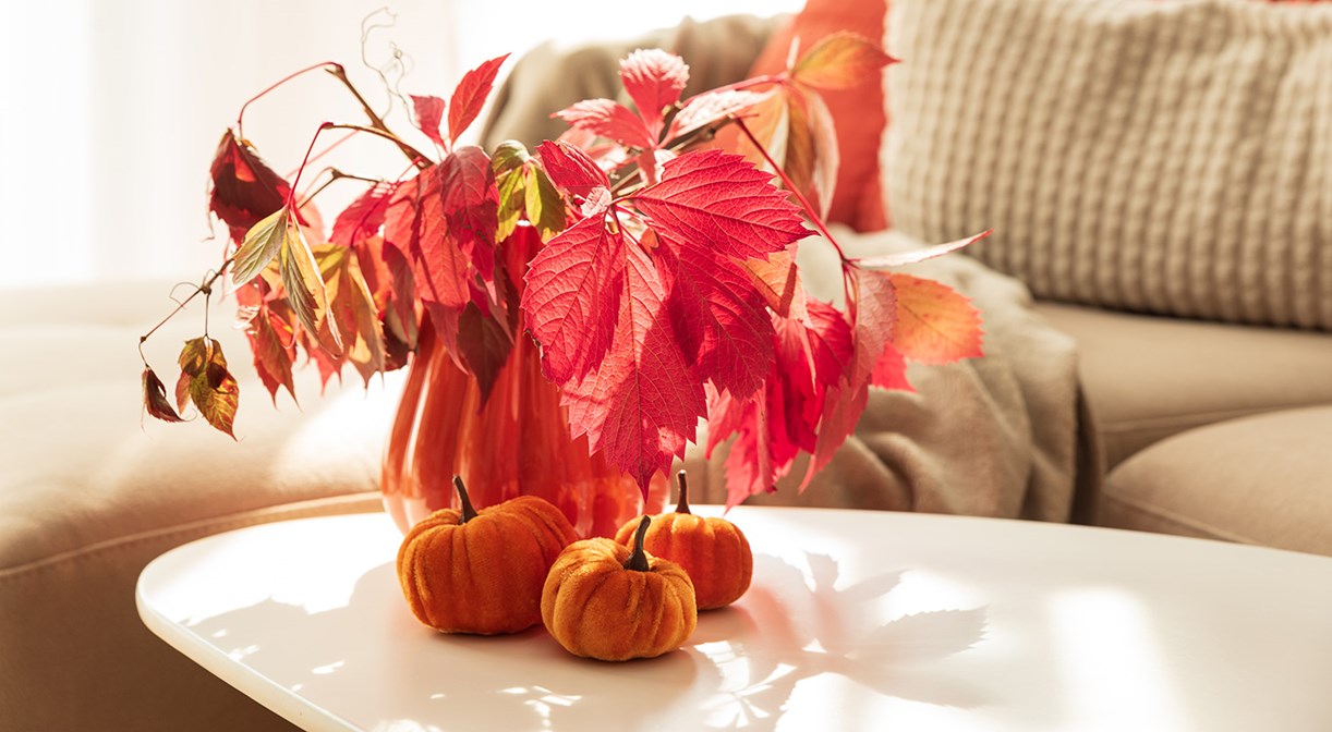 Gezellige herfstachtige woonkamerscène met kopje, notitieboekje en seizoensdecoratie in zonlicht